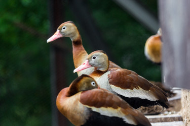 Similar image 13274410