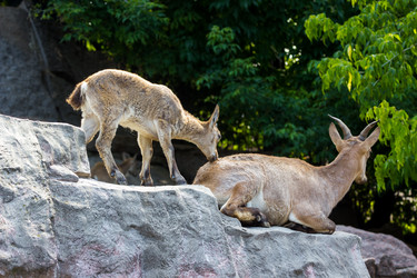 Similar image 13274412