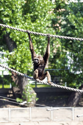 Similar image 13274418