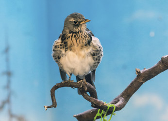 Similar image 13274420