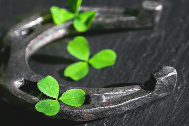 Similar image 13260783