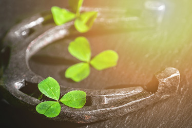 Similar image 13260784