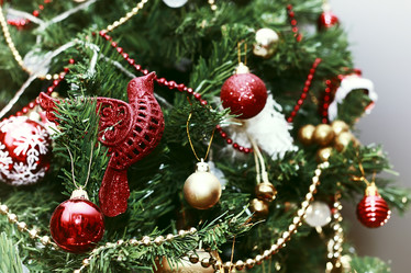 Similar image 13274915