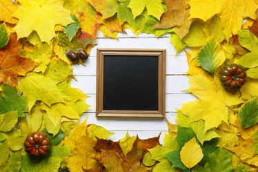 Similar image 13274891