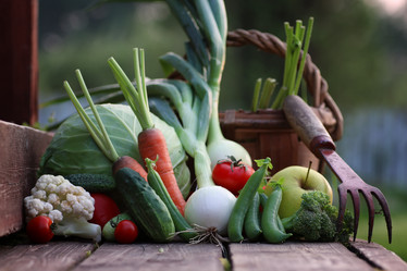 Similar image 13275652