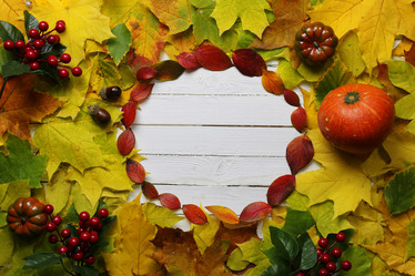 Similar image 13275245