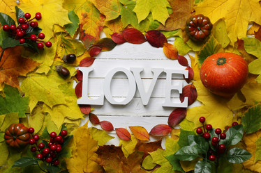 Similar image 13275300