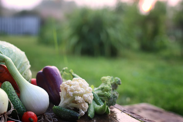 Similar image 13276345