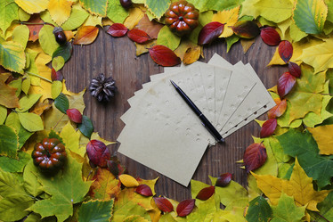 Similar image 13275715