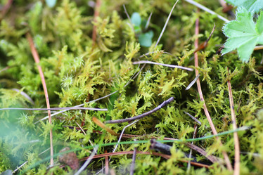 Similar image 13276485