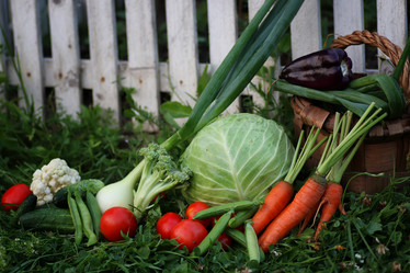 Similar image 13277883