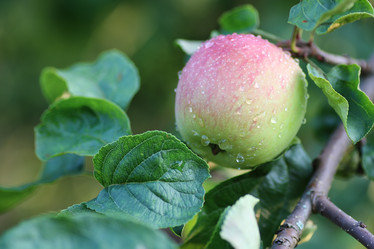 Similar image 13277951