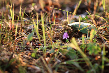 Similar image 13277990