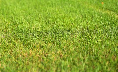 Similar image 13264244