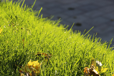 Similar image 13264248