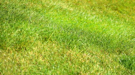 Similar image 13264249