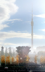 Similar image 13264276