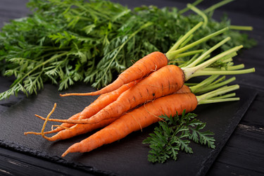 Similar image 13252841