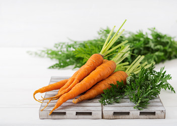 Similar image 13252848