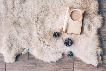 Similar image 13254048