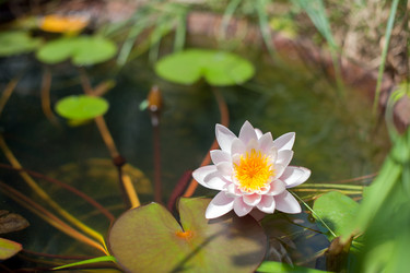 Similar image 13269879