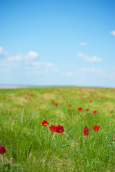 Similar image 13269885