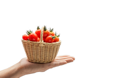 Similar image 13264355