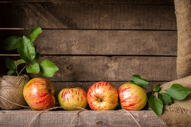 Similar image 13264360