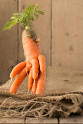 Similar image 13264364