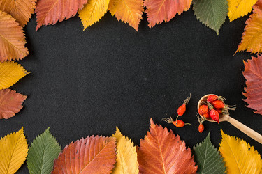 Similar image 13264378