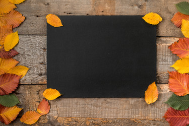 Similar image 13264382