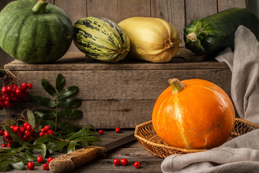 Similar image 13264376