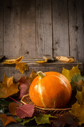 Similar image 13264379