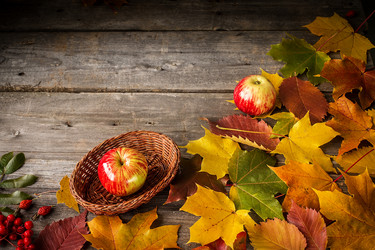 Similar image 13264381