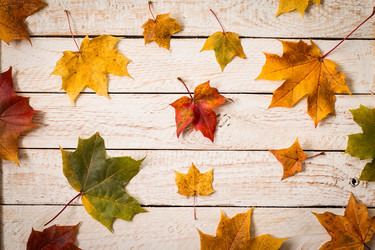 Similar image 13264389