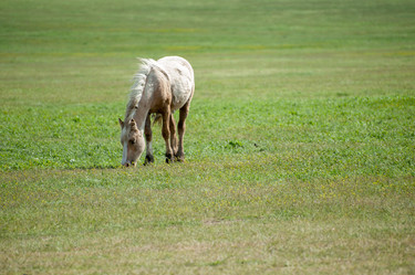 Similar image 13269939