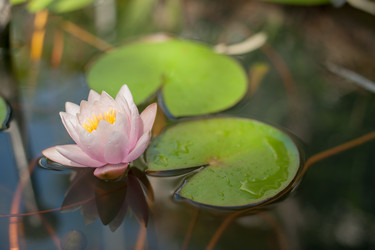 Similar image 13269945