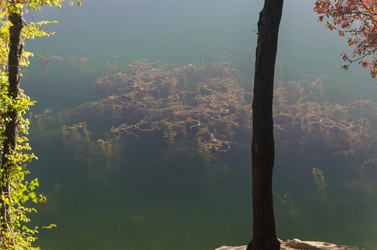 Similar image 13274290