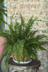 Similar image 13252740