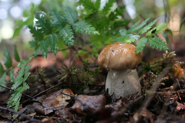 Similar image 13274740