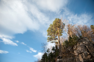 Similar image 13269759