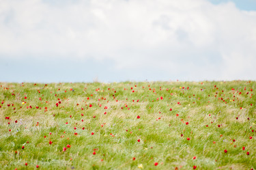 Similar image 13269768