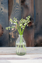 Similar image 13269770