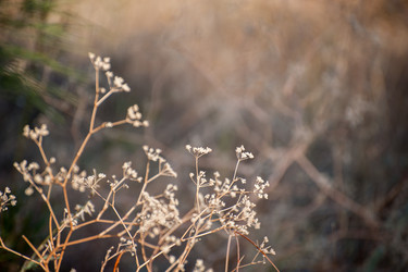 Similar image 13269884