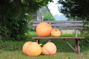 Similar image 13274782