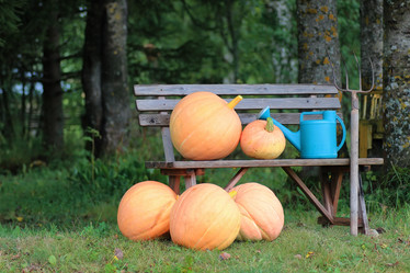 Similar image 13274917