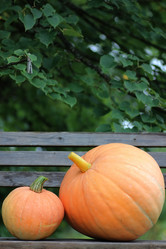 Similar image 13274979