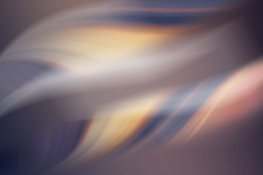 Similar image 13275830