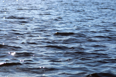 Similar image 13275968