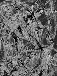 Similar image 13268862